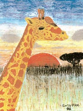 Animals in the Wild - Lesson Plan