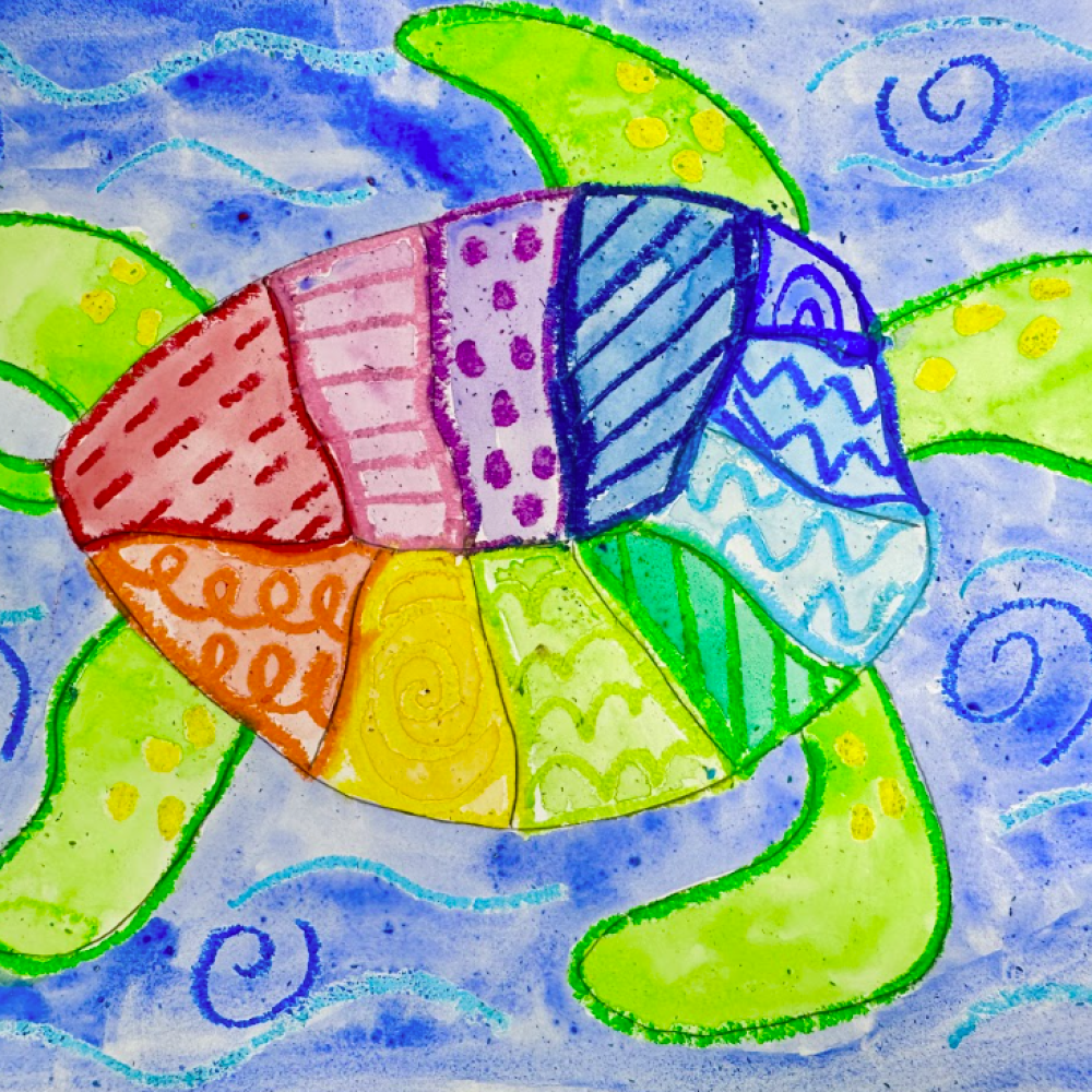 Rainbow-Pattern-Turtles