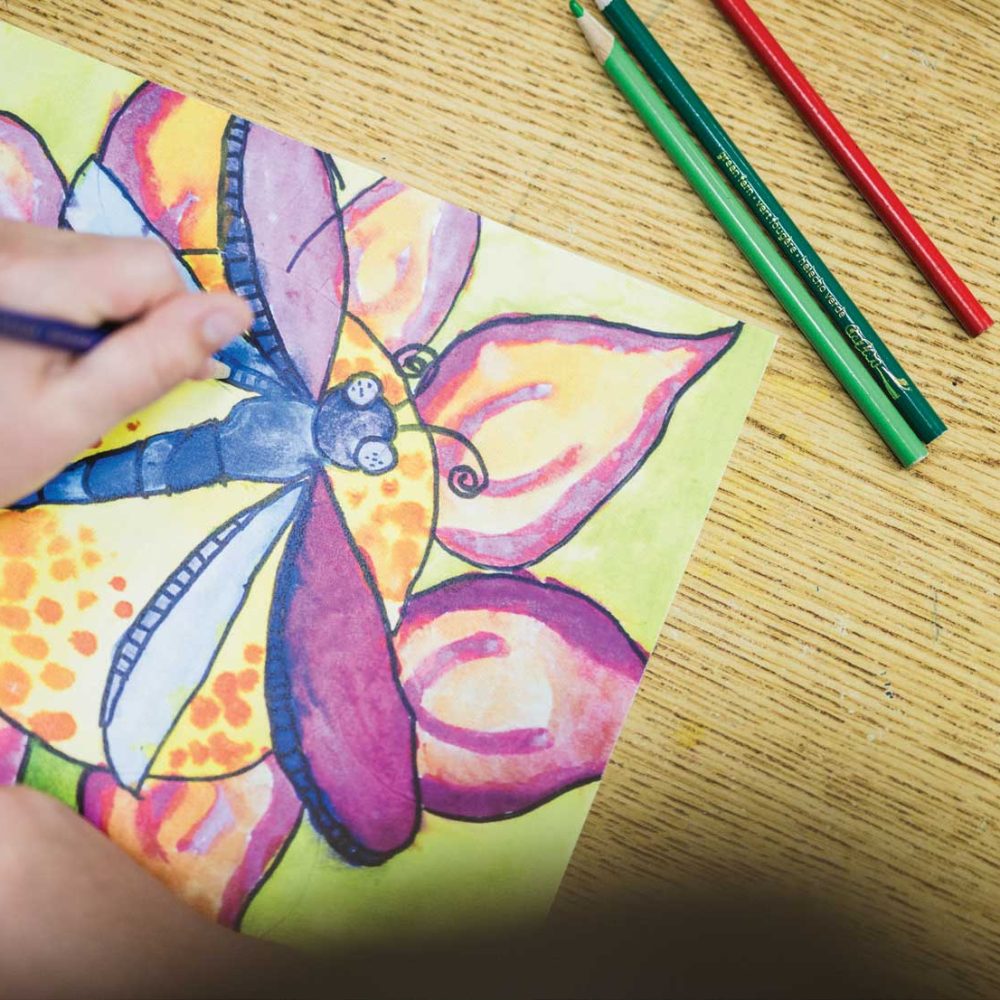 dragonfly-drawing